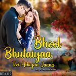 Bhool Bhulaiyaa Teri Akhiyan Jaana