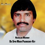 Da Spin Makh Palwashey Key