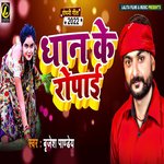 Dhan Ke Ropayi