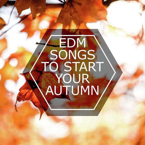 EDM Songs To Start Your Autumn