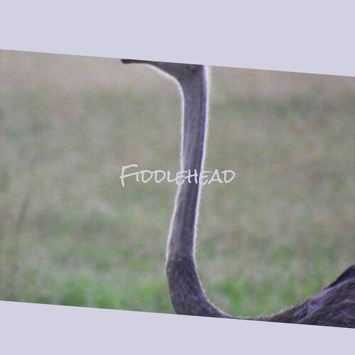 Unharmed Ought cover art