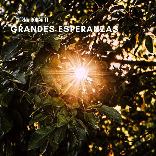 Grandes Esperanzas cover art
