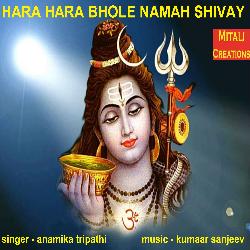 Hara Hara Bhole Namah Shivay-NSQkYAd6Z3o