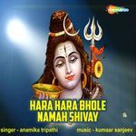 Hara Hara Bhole Namah Shivay