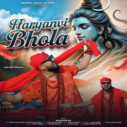 Haryanvi Bhola