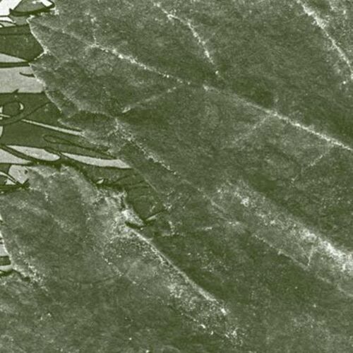 Merzbow (HoLC Remix) cover art