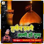 Hussain Ibne Ali Ho Tum