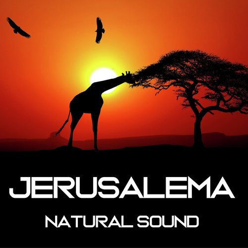 Jerusalema (Relax Version)_poster_image