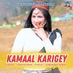 Kamaal Karigey
