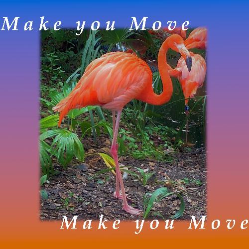 Make You Move