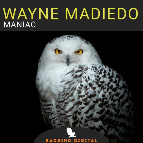Maniac (Jesus Nava Remix) cover art