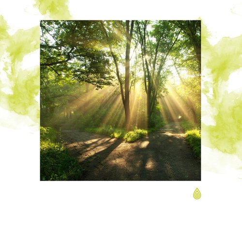 Meilleures mélodies pour régénérer votre chakra du nombril