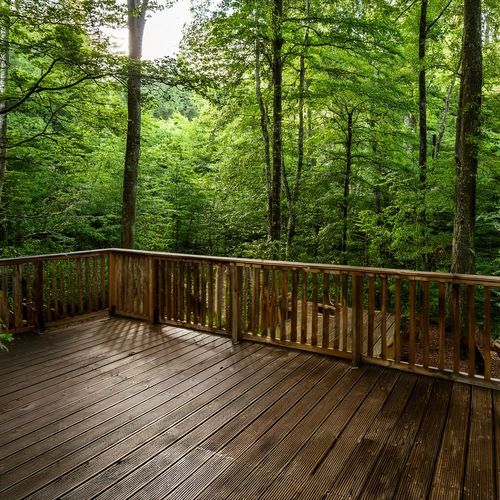 Music That Rises With The Mists Of Hidden Forests