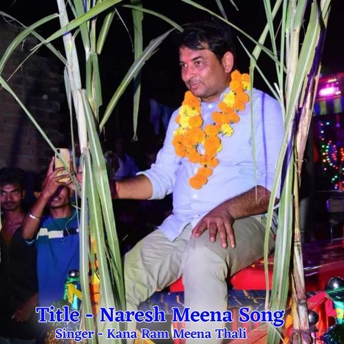 Naresh Meena Song