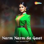 Narm Narm Sa Gaat