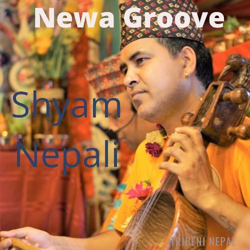 Newa Groove_poster_image