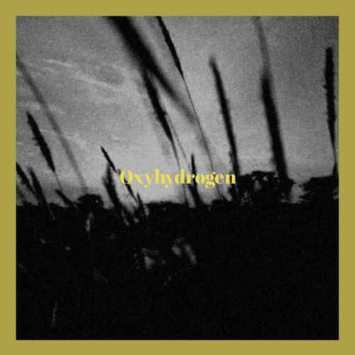 Cris cover art