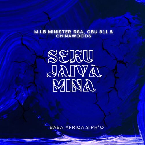 Seku Jaiva Mina_poster_image