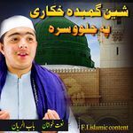 Shen Gumbada Khkari Pa Jalwo Sara