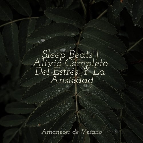 Sleep Beats | Alivio Completo Del Estrés Y La Ansiedad