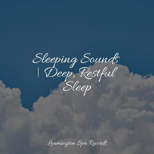 Sleep Music cover art