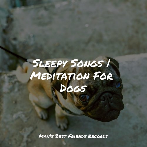 Calm cover art