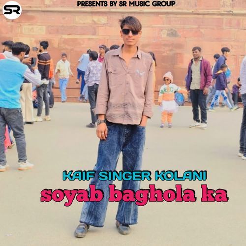 Soyab baghola ka
