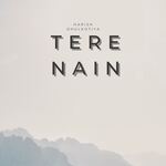 Tere Nain