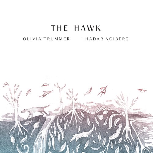 The Hawk_poster_image