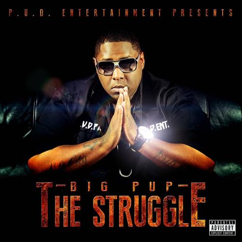 The Struggle_poster_image