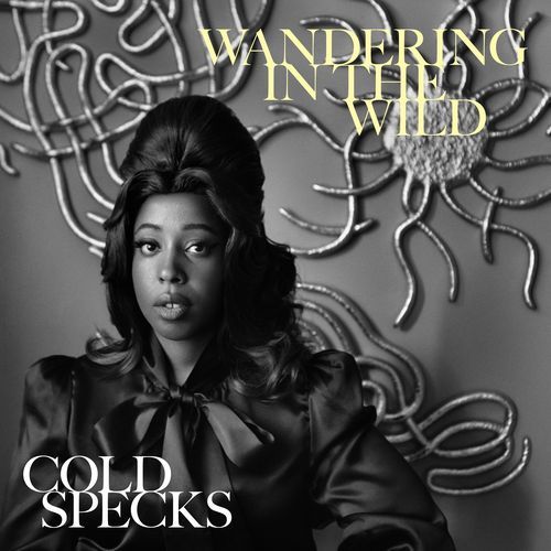 Wandering in the Wild cover art