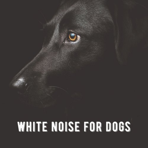 White Noise for Dogs: Deep and Soothing