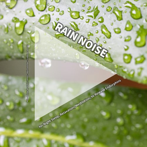 Placid Rain Sound Effects cover art