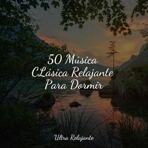 Música Tranquila De Noche - música y letra de Música relajante con sonidos  de la naturaleza, La Naturaleza Del Sueño, Dormir Profundamente