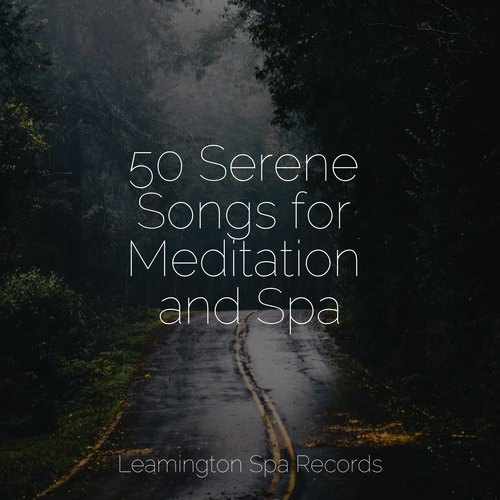 50 Serene Songs for Meditation and Spa