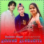 Aneesh Alghani