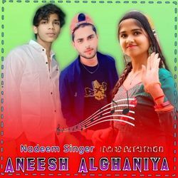 Aneesh Alghani-Ig85Bx9oQ3I