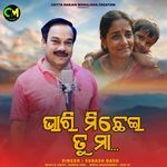 Bhari Michhei Tu Maa