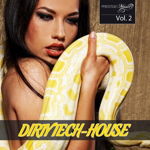Dirty Tech House Vol. 2