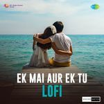 Ek Mai Aur Ek Tu - Lofi