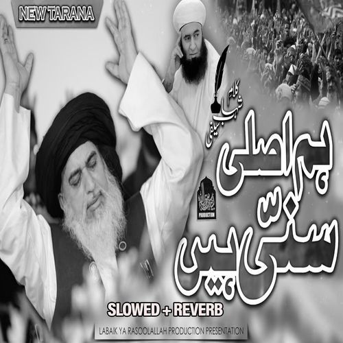 Ham Asli Sun Hain (Lofi-Mix)