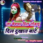 Ja Bewafa Dil Todalu Dil Dukhat Baate