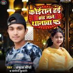 Koiran Hai Brand Jane Thanwa P