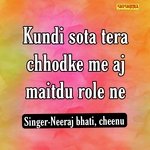 Kundi Sota Tera Chhodke Me Aj Maitdu Role Ne