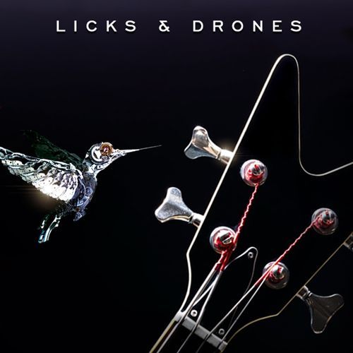 Licks & Drones_poster_image