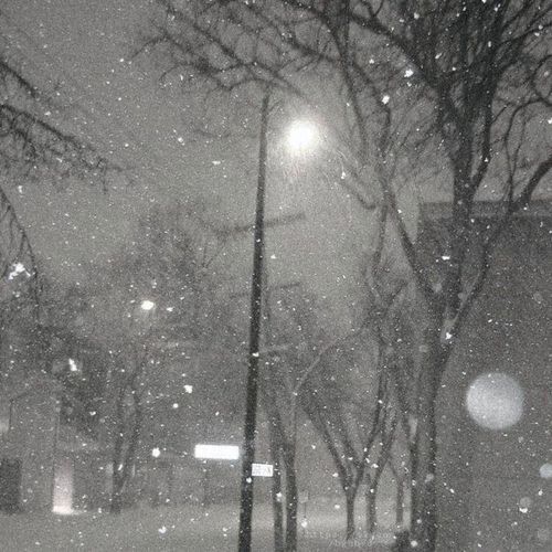 INT0 M3 cover art