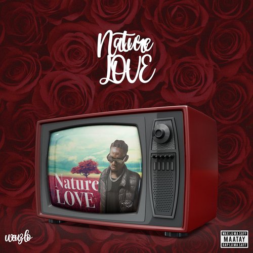 Nature Love_poster_image