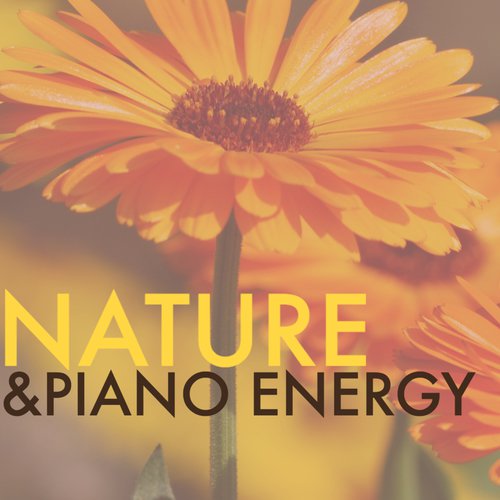 New Age Music with Nature Sounds
