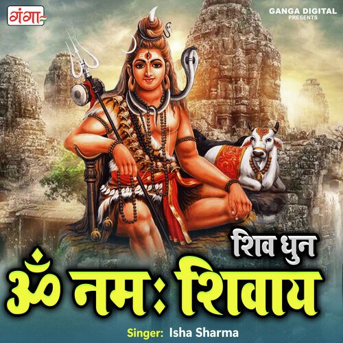 Om Namah Shivay - Shiv Dhun