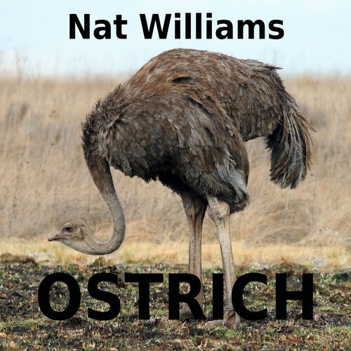 Ostrich cover art